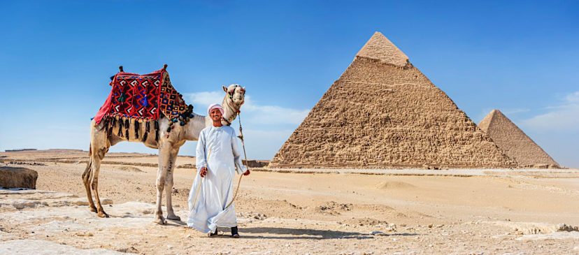 Camel Rides In Giza