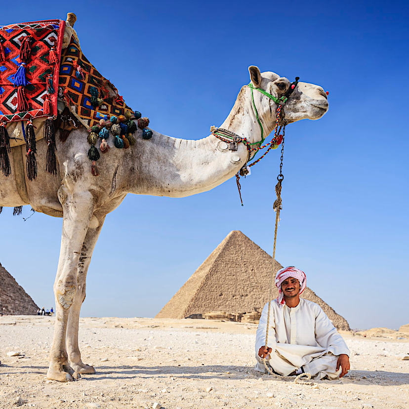 Camel Rides In Giza