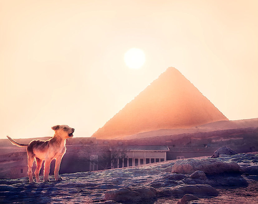 Sunset at Pyramids