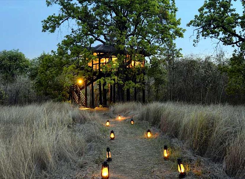 Pench Tree Lodge