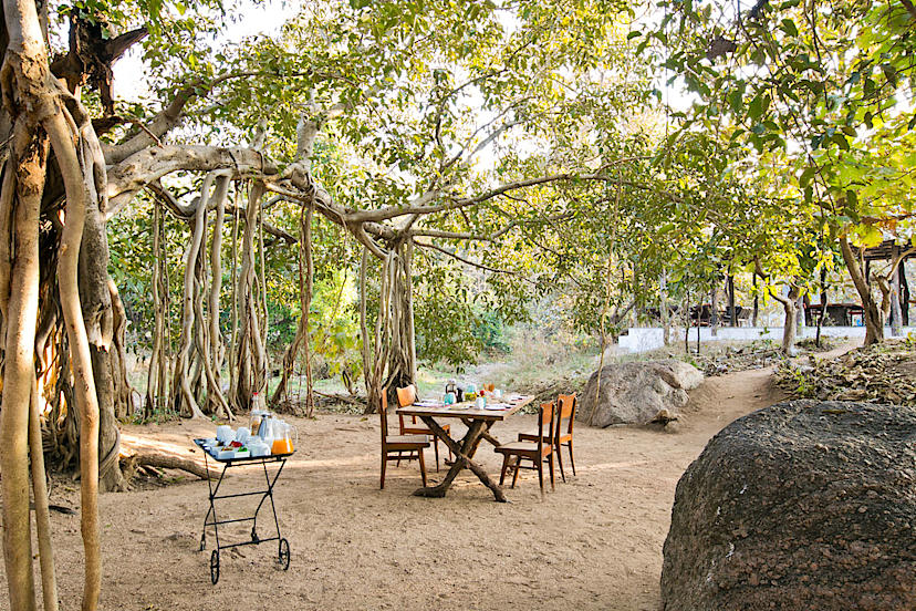 Alfresco Dining