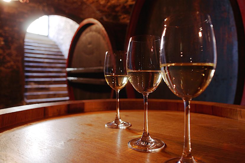 Wine Cellar Tasting