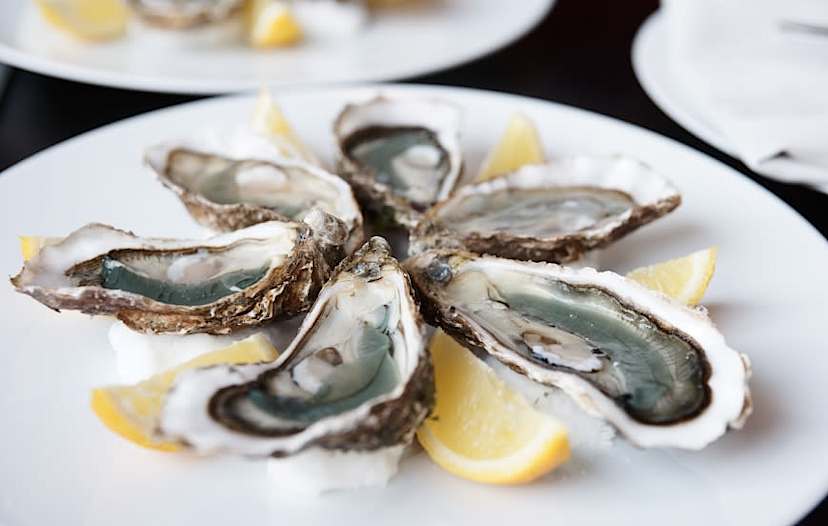 Oysters