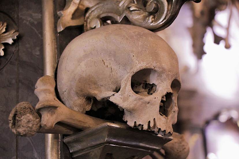 The Bone Church