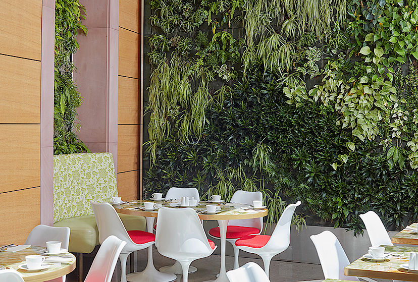 Terrace Dining
