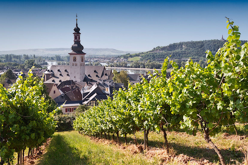 RUDESHEIM