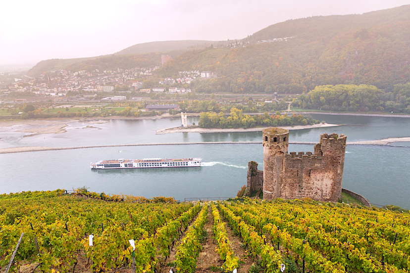 Rhine Cruise to Rudesheim