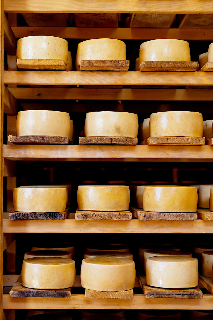 World Famous Croatian Pag Cheeses