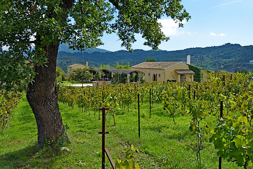 Ambelonas Estate