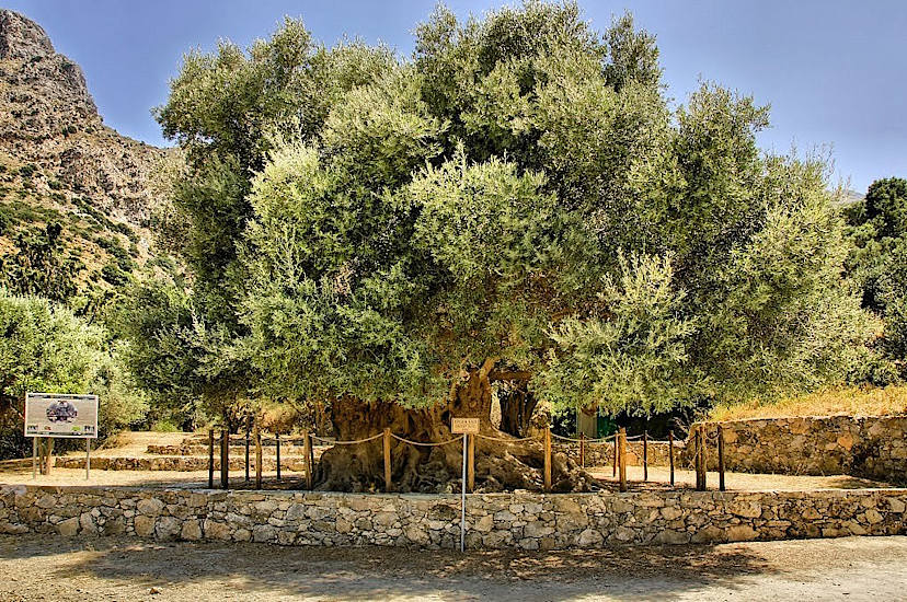 East Crete Scenery