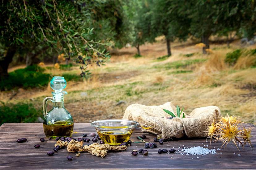 Oilve Oil Tasting