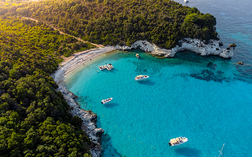 Antipaxos