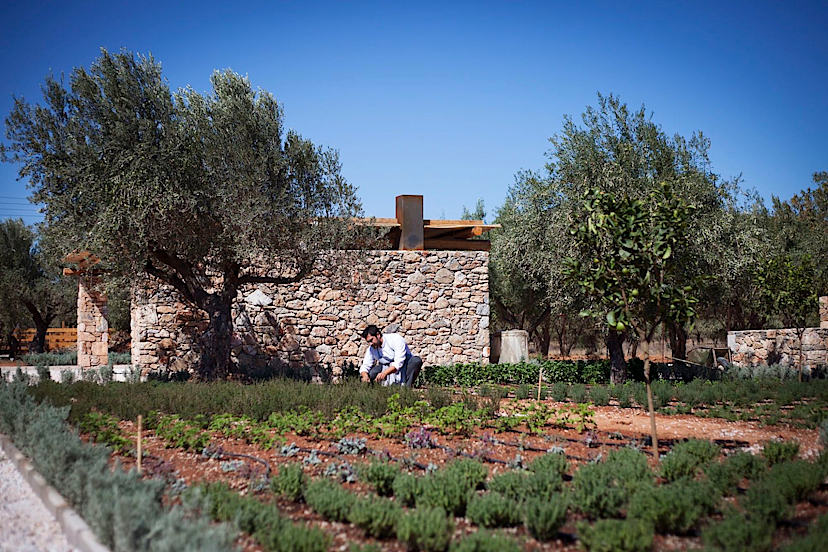 The Margi Farm