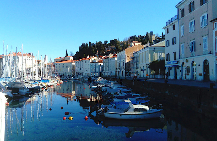 Koper