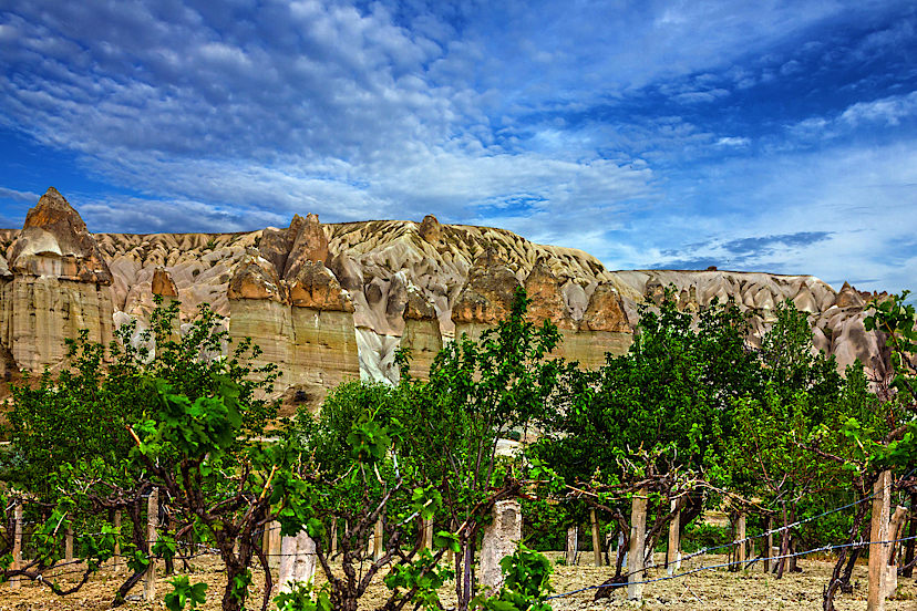 Cappadocia Landscapes & vineyards