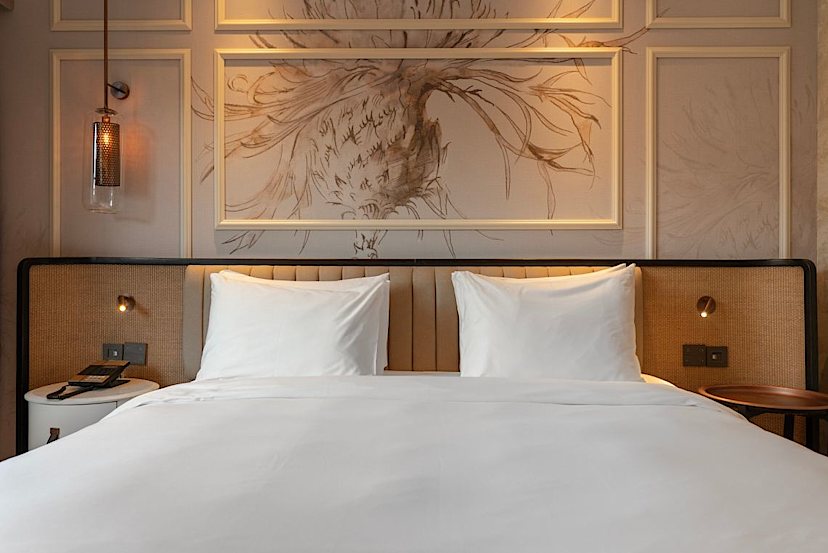 Deluxe Guest Room