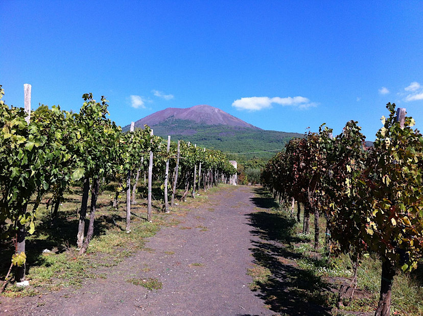 Mount Vesuvius Vineyard