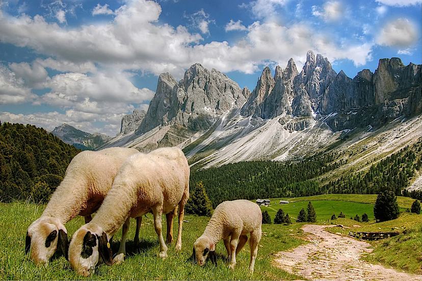 Sweeping Vistas
