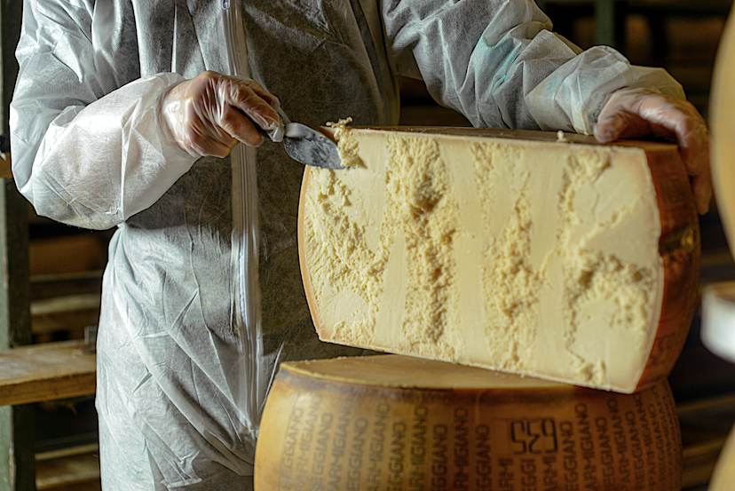 Cheese