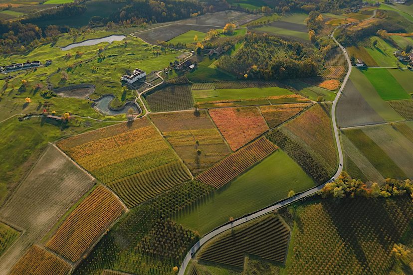 Barolo