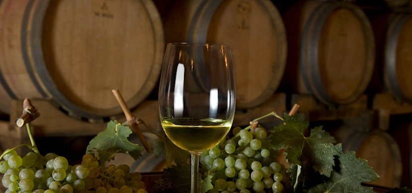 Vermentino
