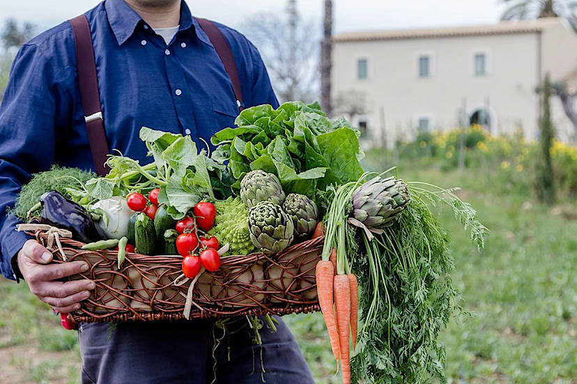 Horticultural Activities