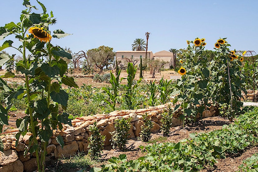 Resort Grounds