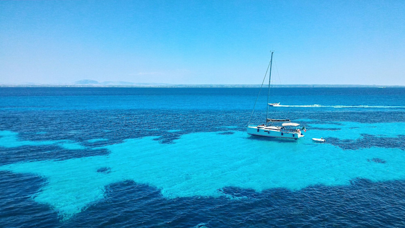 Catamaran Cruise, Favignana Island