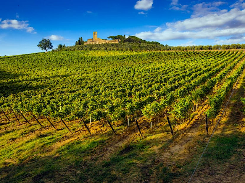 Tuscan Countryside