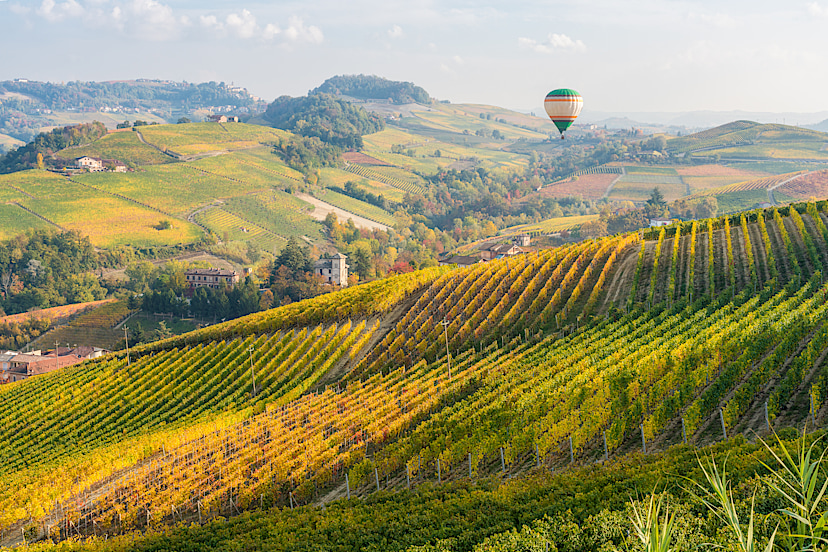 Hot Air Balloon over Florence