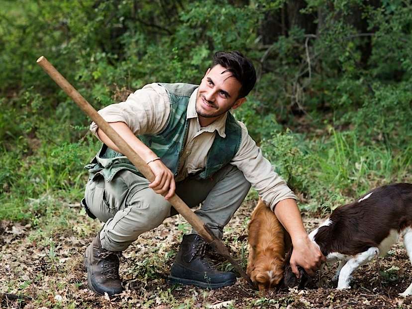 Truffle Hunting