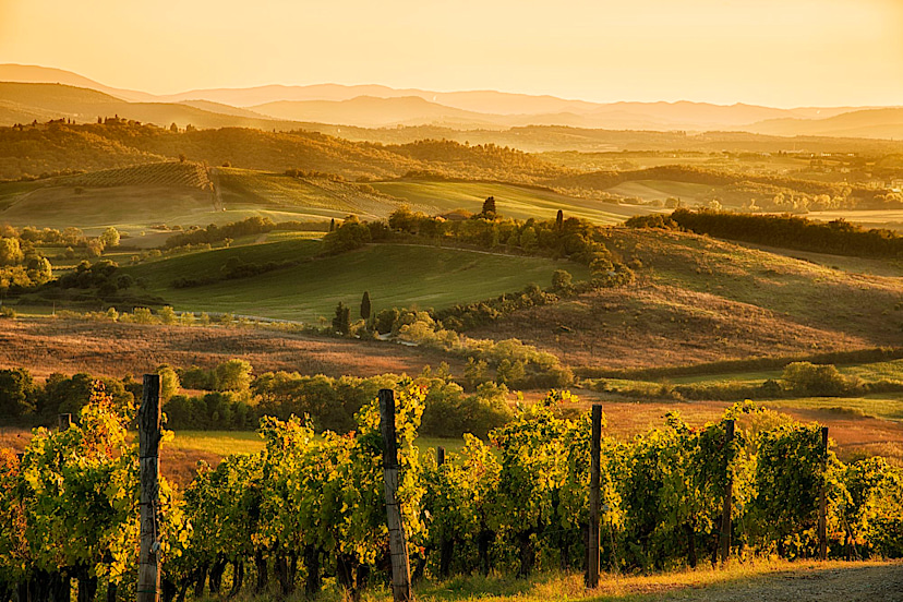 Siena Landscape