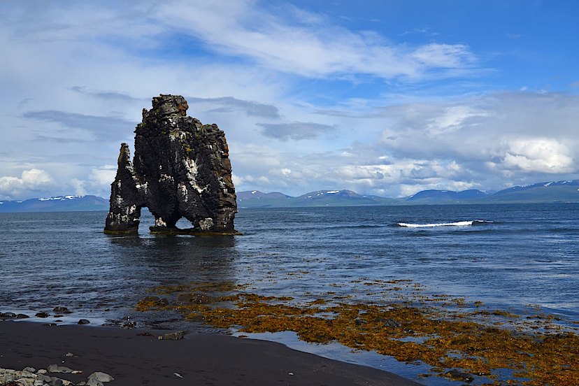 Hvitserkur