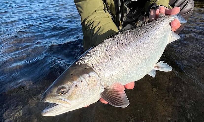 Fishing Excursion