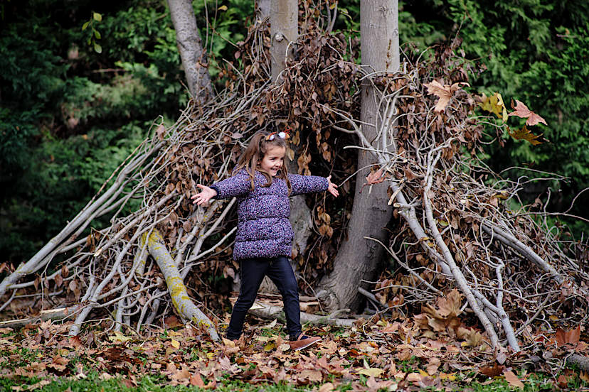 Hidden World Of Elves & Trolls