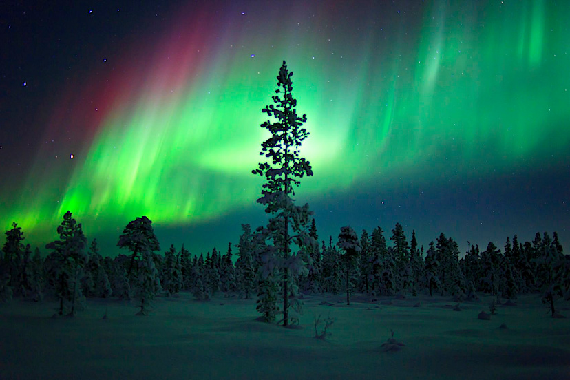 Aurora Snowmobile Hunt