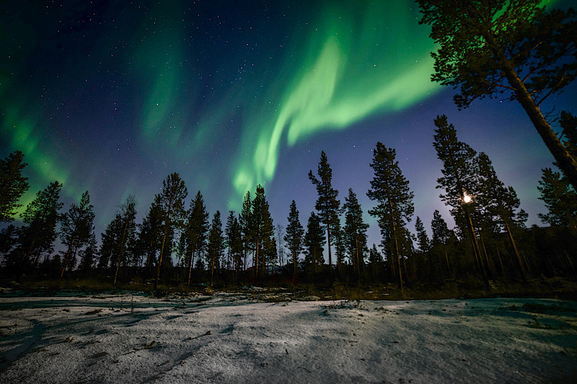 Northern Lights