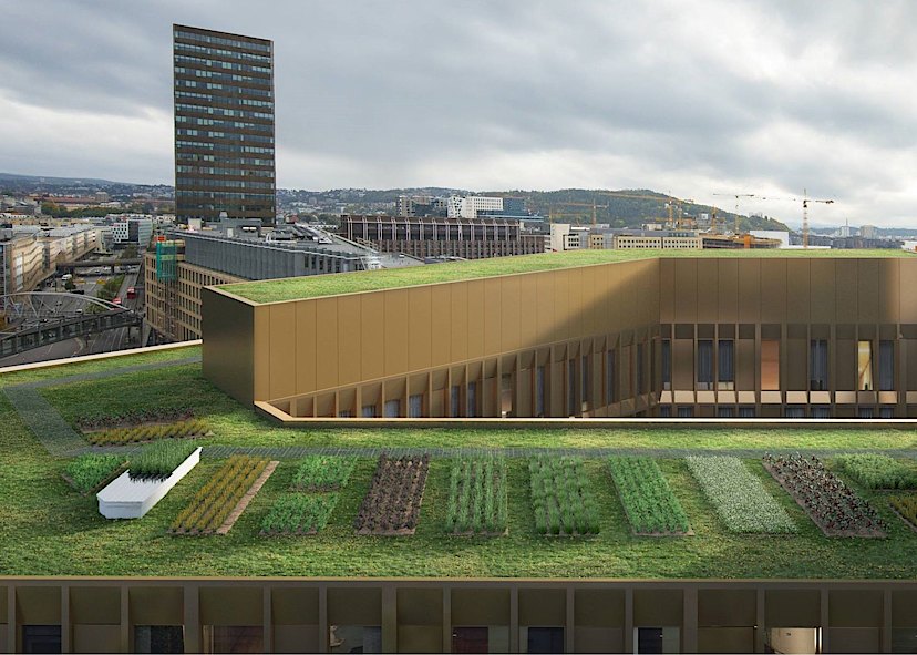 Rooftop GrowHub