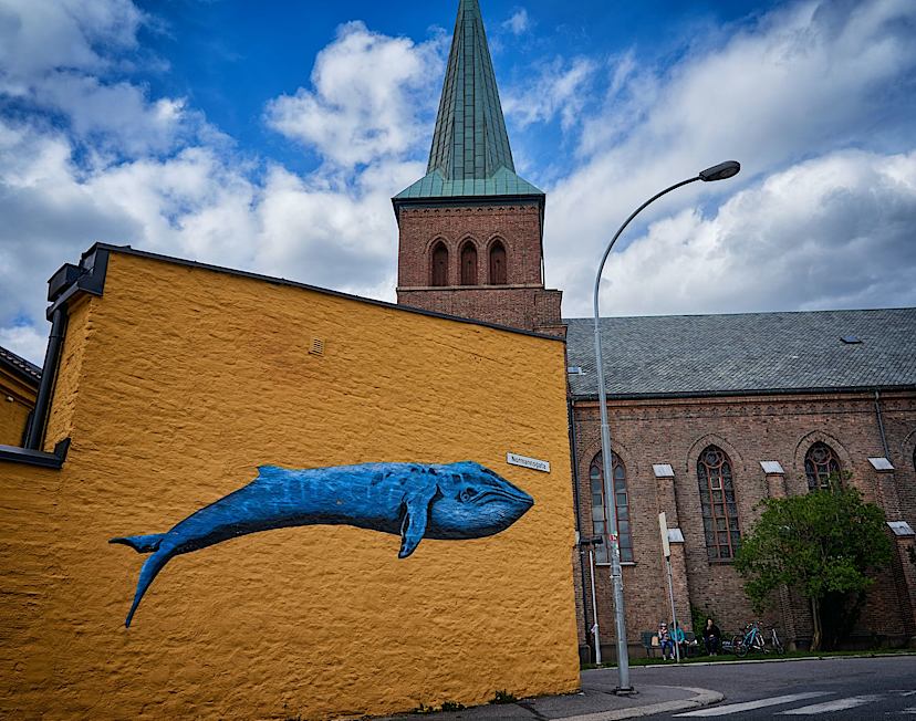 Independent Discovery of Oslo