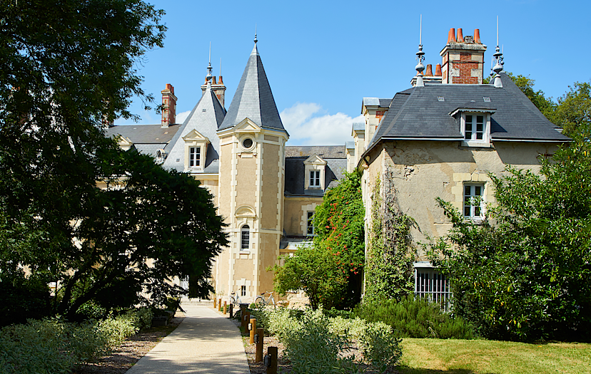 Les Cources de Cheverny