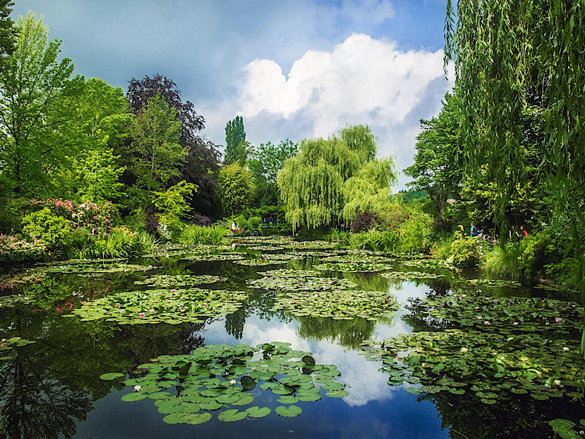 Monet's Gardens