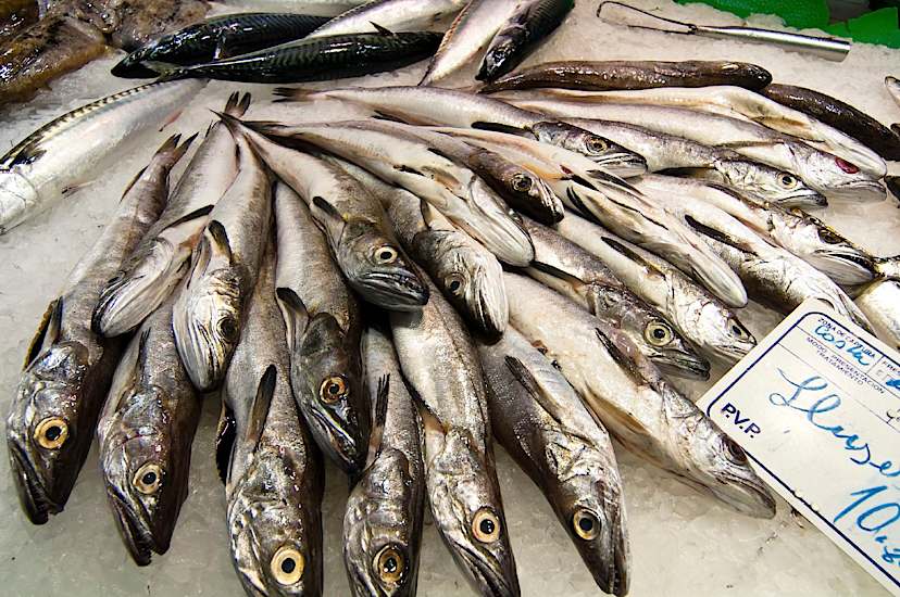 Fish At La Boqueria Market Place In Las Ramblas