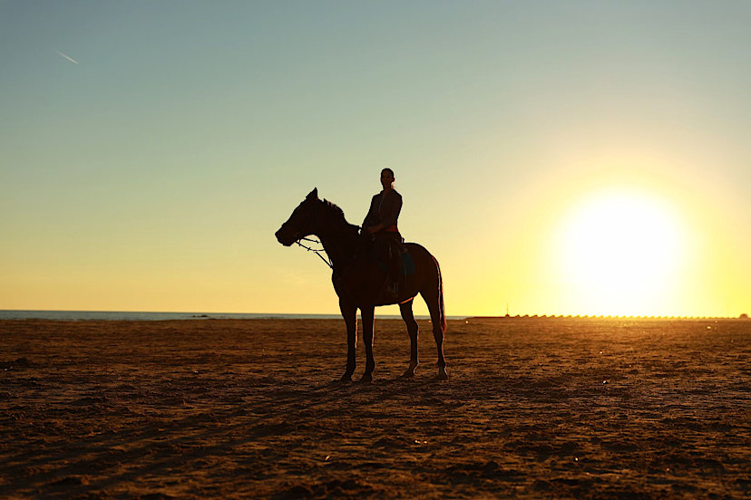 Horse