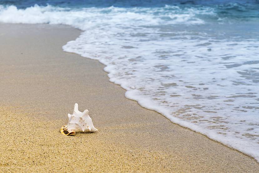Beach Time