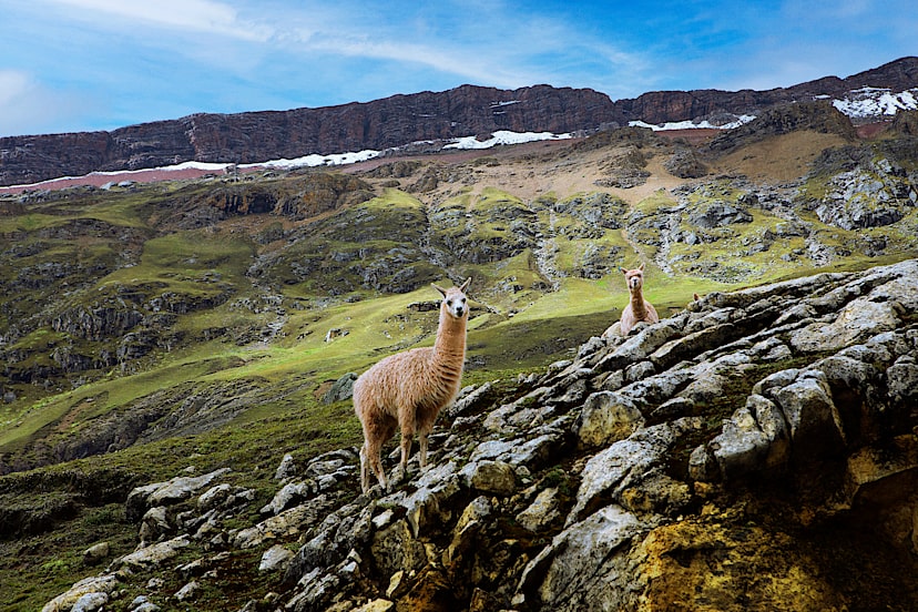 LIMA TO CUSCO TO SACRED VALLEY