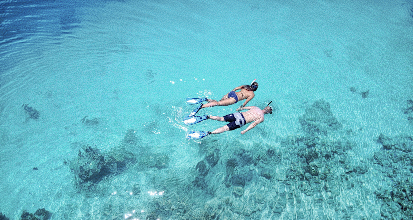 Self Guided Snorkeling
