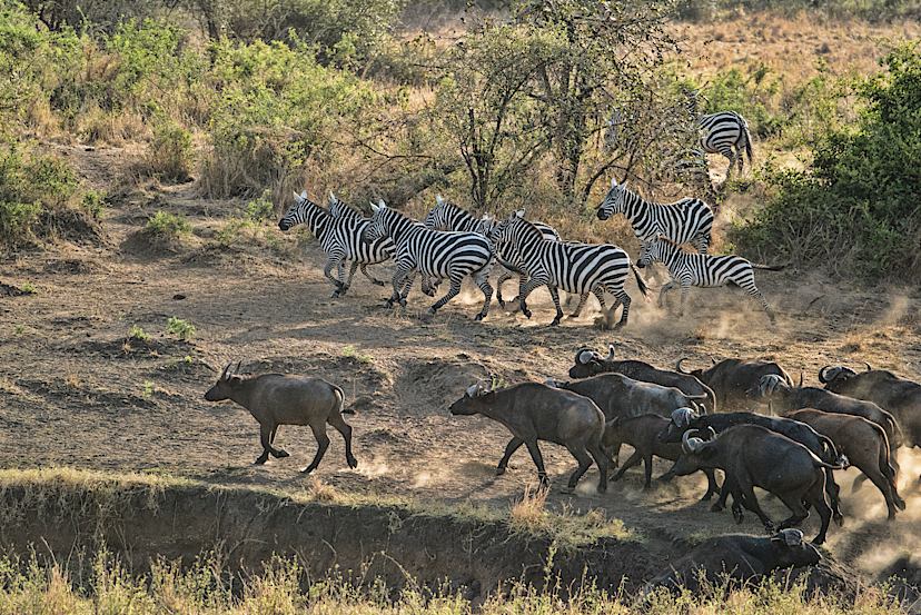 KIDEPO VALLEY NATIONAL PARK