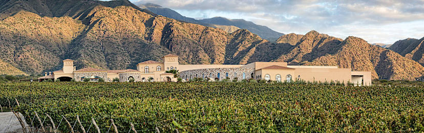 Piattelli Winery