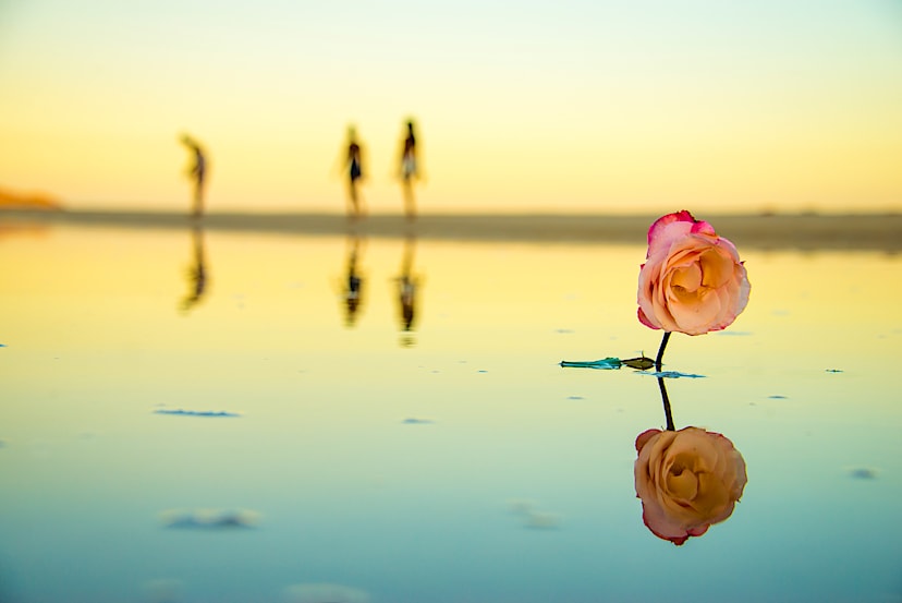 Tribute to the Sea