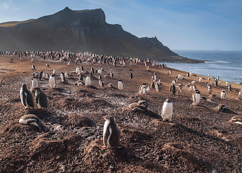 South Shetland Islands